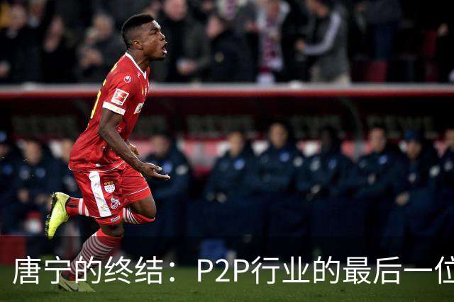 唐宁的终结：P2P行业的最后一位领军者与十年的清算之路